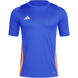 adidas Tiro24 Fu&szlig;balltrikot Herren AETB - lucblu/white/apsord S