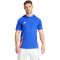 adidas Tiro24 Fu&szlig;balltrikot Herren AETB - lucblu/white/apsord S