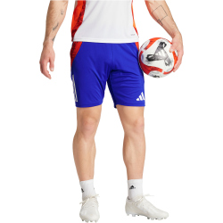 adidas Tiro24 Competition Trainingsshorts Herren AETB - lucblu/white S