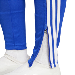 adidas Tiro24 Trainingshose Damen AETB - lucblu/apsord/white XS