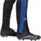 adidas Tiro24 Trainingshose Damen 095A - black/apsord/lucblu XS