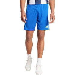 adidas Squadra 21 Trainingsshorts Herren AD8R - royblu/tmsoye/royblu XS