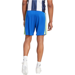 adidas Squadra 21 Trainingsshorts Herren AD8R - royblu/tmsoye/royblu XS
