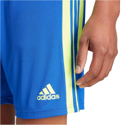 adidas Squadra 21 Trainingsshorts Herren AD8R - royblu/tmsoye/royblu XS
