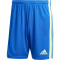 adidas Squadra 21 Trainingsshorts Herren AD8R - royblu/tmsoye/royblu XS