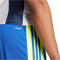 adidas Squadra 21 Trainingsshorts Herren AD8R - royblu/tmsoye/royblu XS