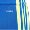 adidas Squadra 21 Shorts Kinder AD8R - royblu/tmsoye/royblu 176