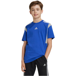 adidas Sportswear Colorblock T-Shirt Kinder