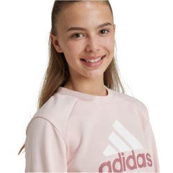 adidas Sportswear Essentials Big Logo French Terry...