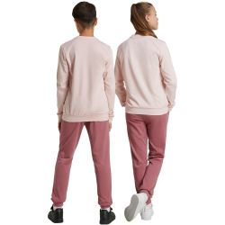 adidas Sportswear Essentials Big Logo French Terry...