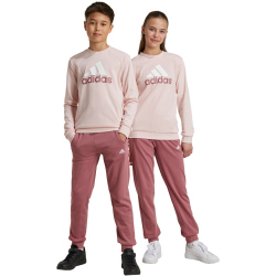 adidas Sportswear Essentials Big Logo French Terry...