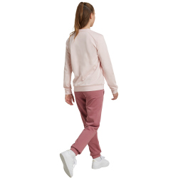 adidas Sportswear Essentials Big Logo French Terry...