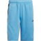 adidas Sportswear Essentials Color Block Tricot Trainingsshorts Herren