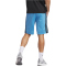 adidas Sportswear Essentials Color Block Tricot Trainingsshorts Herren