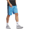 adidas Sportswear Essentials Color Block Tricot Trainingsshorts Herren