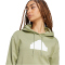 adidas Sportswear Future Icons Badge of Sport Hoodie Damen