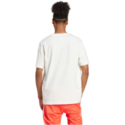 adidas Sportswear Future Icons Badge of Sport T-Shirt Herren