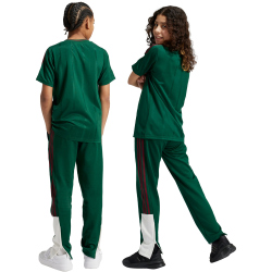 adidas Sportswear Tiro Nations Pack Trainingshose Kinder