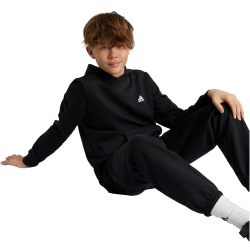 adidas Sportswear Essentials Small Logo Feel Cozy Hoodie...