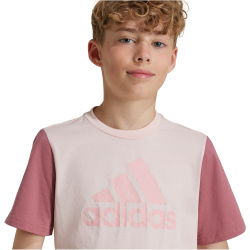 adidas Sportswear Essentials Big Logo Colorblock Cotton...
