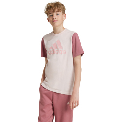 adidas Sportswear Essentials Big Logo Colorblock Cotton...