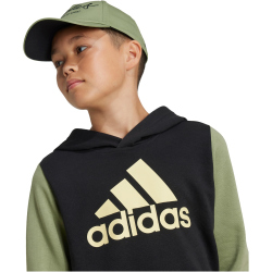 adidas Sportswear Essentials Big Logo Colorblock Hoodie...