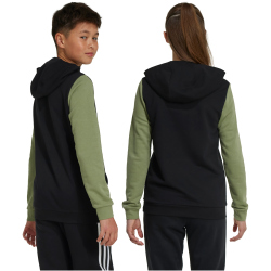 adidas Sportswear Essentials Big Logo Colorblock Hoodie...