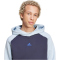 adidas Sportswear Sportswear Fleece Colorblock Trainingsanzug Herren