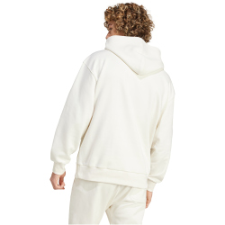 adidas Sportswear All SZN Graphic Hoodie Herren