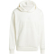 adidas Sportswear All SZN Graphic Hoodie Herren
