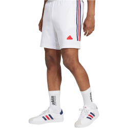 adidas House of Tiro Nations Pack Sweatshorts Herren
