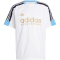 adidas Sportswear House of Tiro Nations Pack T-Shirt Herren
