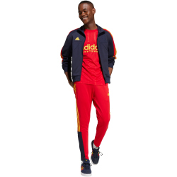adidas Sportswear House of Tiro Nations Pack...