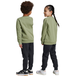 adidas Essentials Logo Fleece Jogginganzug Kinder A98F - tengrn/white 104
