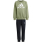 adidas Essentials Logo Fleece Jogginganzug Kinder A98F - tengrn/white 110