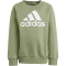 adidas Essentials Logo Fleece Jogginganzug Kinder A98F - tengrn/white 110