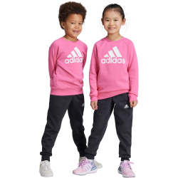 adidas Essentials Logo Fleece Jogginganzug Kinder AEK7 - pulmag/white 110