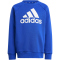 adidas Essentials Logo Fleece Jogginganzug Kinder AETC - selubl/white 110