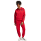 adidas Sportswear Z.N.E. Jogginghose Damen AEPU - tepore XS