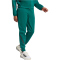 adidas Sportswear Z.N.E. Jogginghose Damen 024A - cgreen M