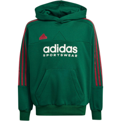 adidas Sportswear Tiro Nations Pack Hoodie Kinder A0QE - drkgrn/cburgu/clowhi 152