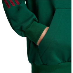 adidas Sportswear Tiro Nations Pack Hoodie Kinder A0QE - drkgrn/cburgu/clowhi 152