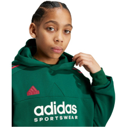 adidas Sportswear Tiro Nations Pack Hoodie Kinder A0QE - drkgrn/cburgu/clowhi 152