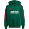 adidas Sportswear Tiro Nations Pack Hoodie Kinder A0QE - drkgrn/cburgu/clowhi 152