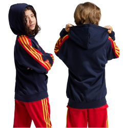 adidas Sportswear Tiro Nations Pack Hoodie Kinder AA35 - legink/betsca/bogold 152