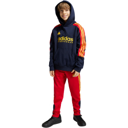 adidas Sportswear Tiro Nations Pack Hoodie Kinder AA35 - legink/betsca/bogold 152