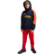 adidas Sportswear Tiro Nations Pack Hoodie Kinder AA35 - legink/betsca/bogold 152