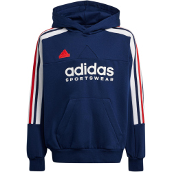 adidas Sportswear Tiro Nations Pack Hoodie Kinder AEQ1 - tenabl/white/betsca 152