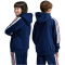 adidas Sportswear Tiro Nations Pack Hoodie Kinder AEQ1 - tenabl/white/betsca 152