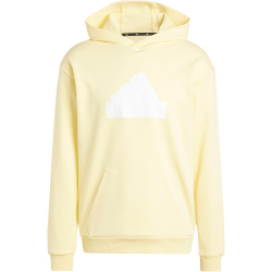 adidas Future Icons BOS Hoodie Herren AEJP - almyel XL